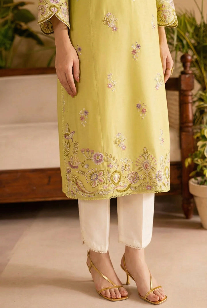 W25-125 2PC DHANAK APPLE PIE EMBROIDERED DRESS.